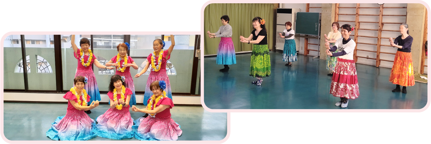 フラ ハレ オ ロケ アーカラ,シニアから始めるフラダンス,新横浜,横浜市港北区