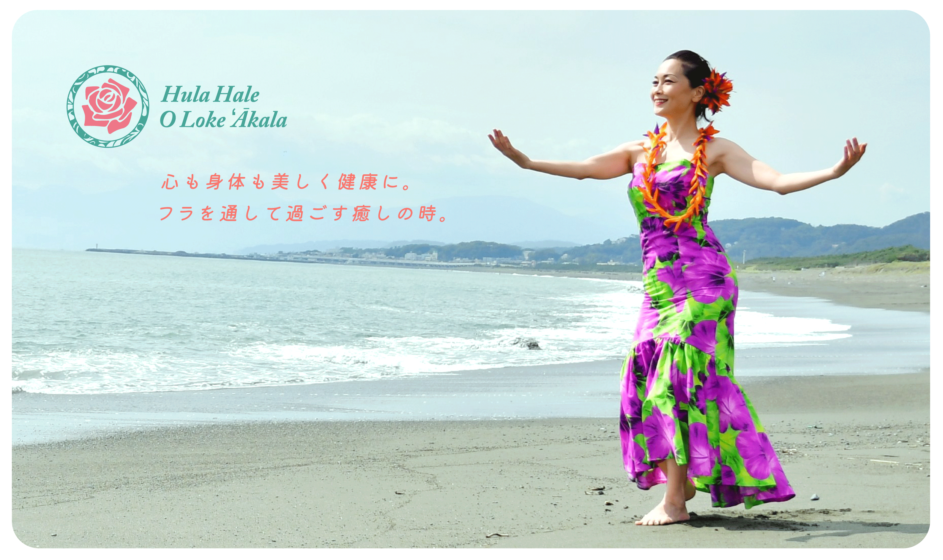 フラ ハレ オ ロケ アーカラ,フラダンス教室,講師,清原智子